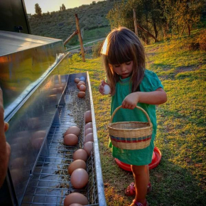  Fattoria di Maiano  Фьезоле